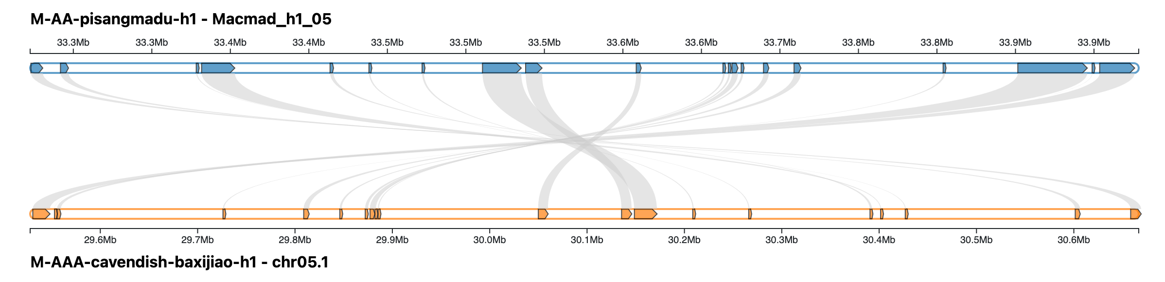 Colinearity graph